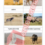 Južná Afrika - PDF