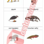 Južná Amerika - PDF