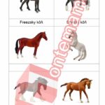Kone Collecta - PDF
