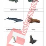 Oceán Collecta - PDF