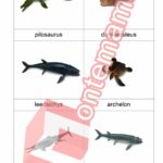 Prehistorické morské zvieratá Collecta - PDF