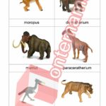 Prehistorické zvieratá Collecta - PDF