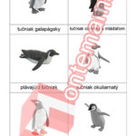 Tučniaky - PDF