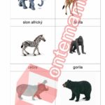 Zvieratá v divočine Collecta - PDF