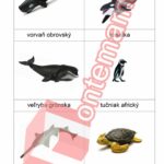 Zvieratá v oceáne Collecta - PDF