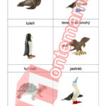 Galapágy - PDF