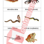 Jedovaté zvieratá - PDF