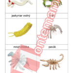 Obyvatelia jaskýň - PDF