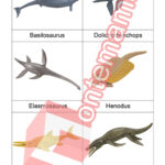 Podmorský prehistorický život - PDF