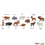 Zvieratá Severnej Ameriky - Safari miniatúry