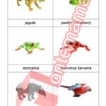 Život v pralese - PDF