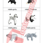 ZOO mláďatá - PDF