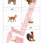 Zvieratá na farme PDF