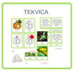 Tekvica pdf materiál