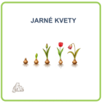Jarné kvety pdf materiál