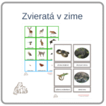 Zvieratá v zime - hibernácia pdf materiál